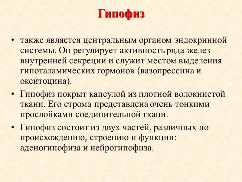 Гипофиз также является центральным органом эндокринной системы. Он регулирует активность ряда желез внутренней секреции